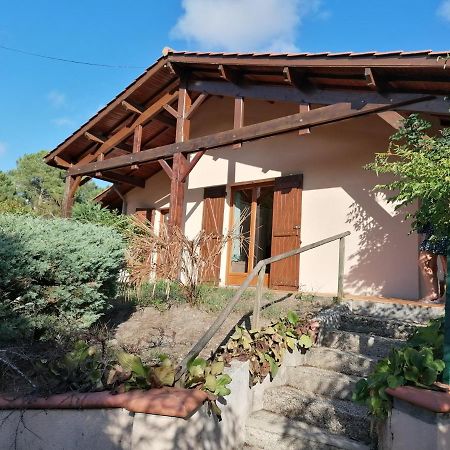 Maison Au Dessus Du Lac De Biscarrosse Zewnętrze zdjęcie