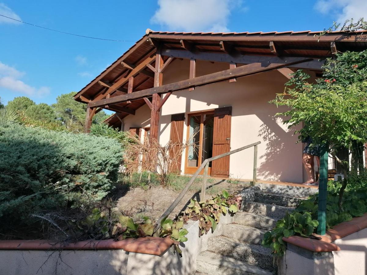 Maison Au Dessus Du Lac De Biscarrosse Zewnętrze zdjęcie